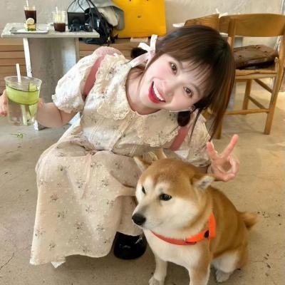 影城春光